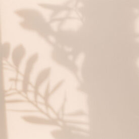 background image of shadow of ferns on light peach wall